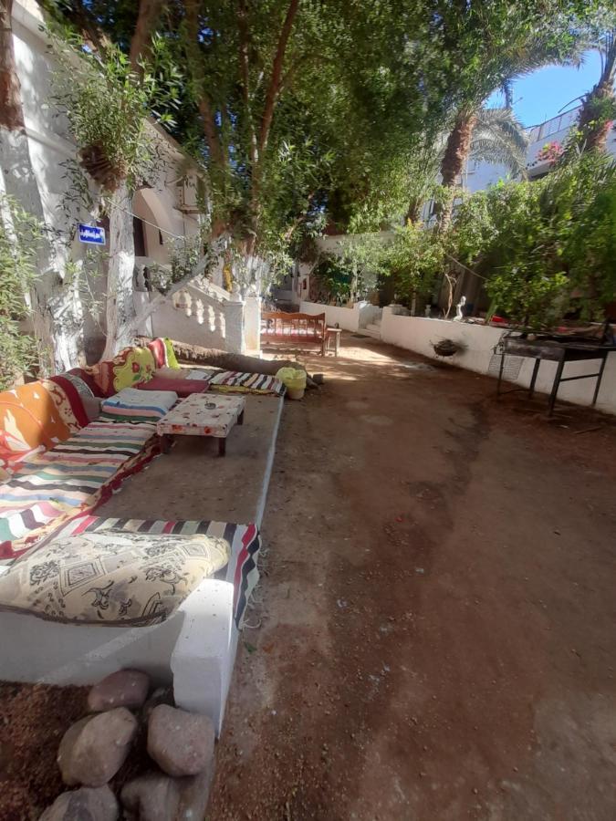 Hotel Fighting Kangaroo Camp Dahab Exterior foto
