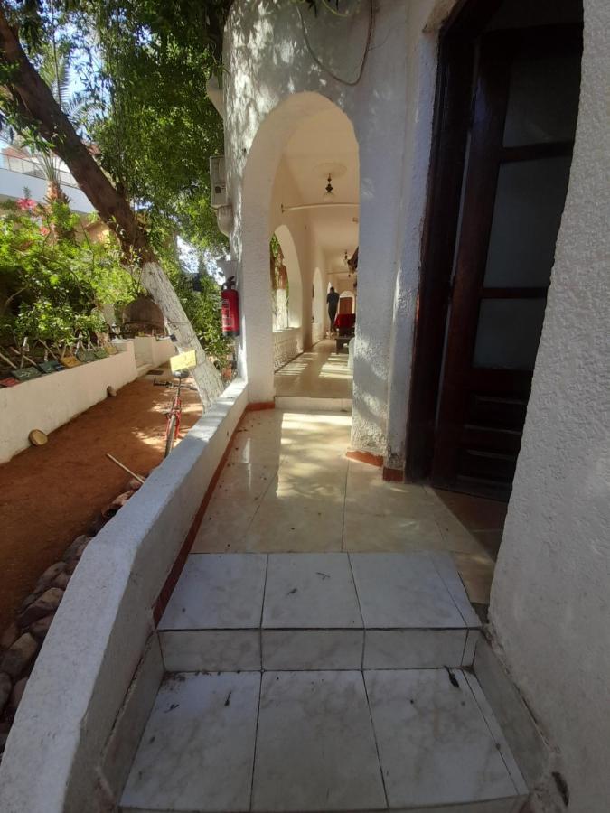 Hotel Fighting Kangaroo Camp Dahab Exterior foto