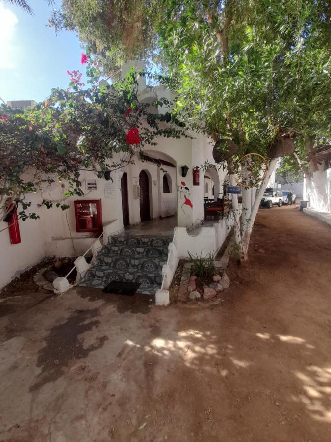 Hotel Fighting Kangaroo Camp Dahab Exterior foto