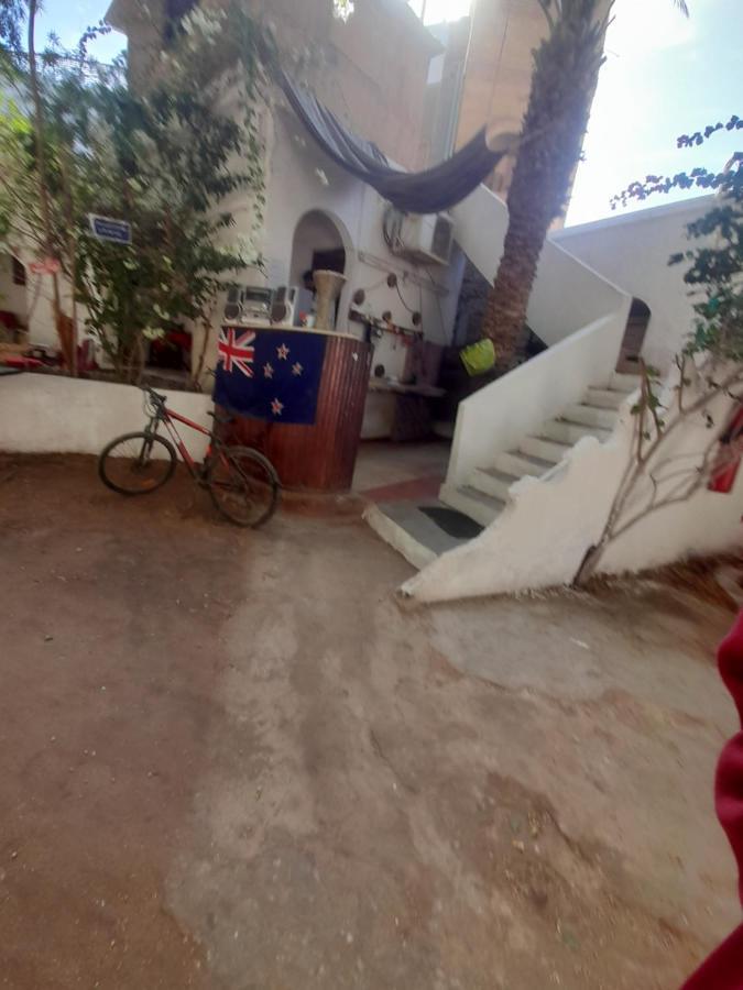 Hotel Fighting Kangaroo Camp Dahab Exterior foto