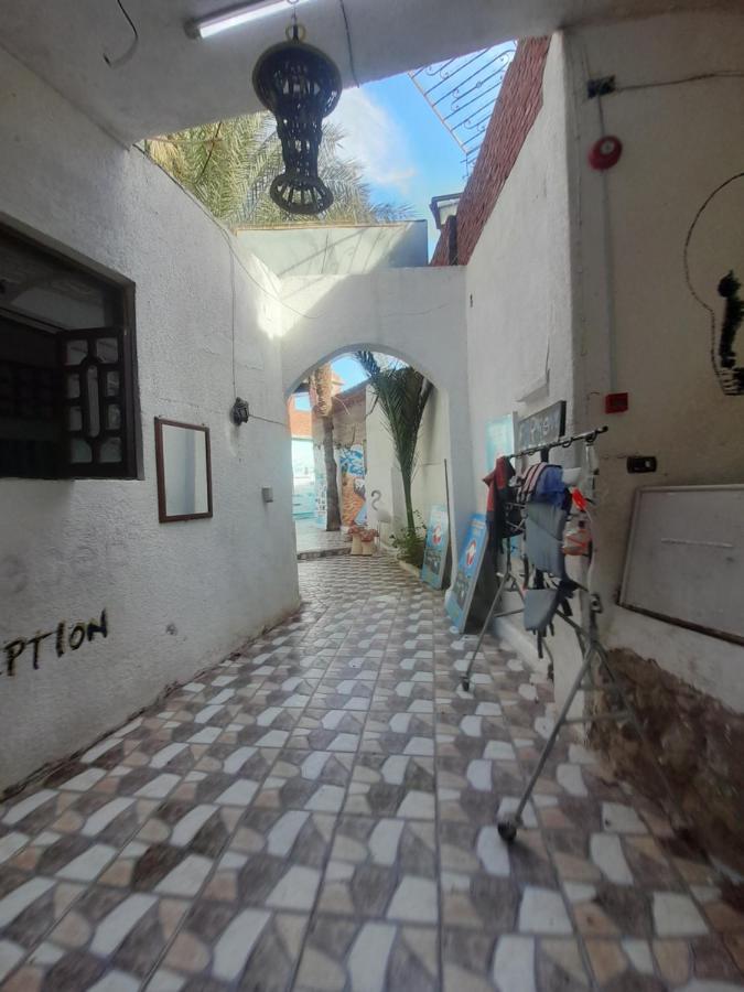 Hotel Fighting Kangaroo Camp Dahab Exterior foto